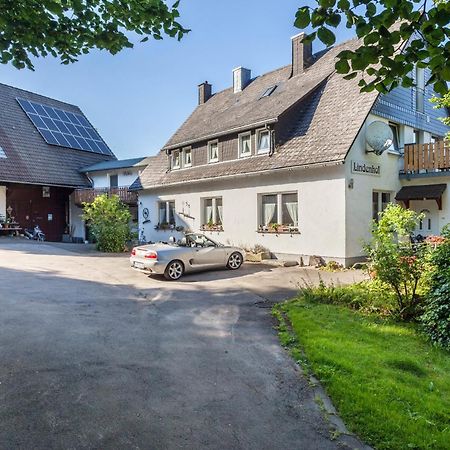Ferienwohnungen Lindenhof Willingen  Esterno foto