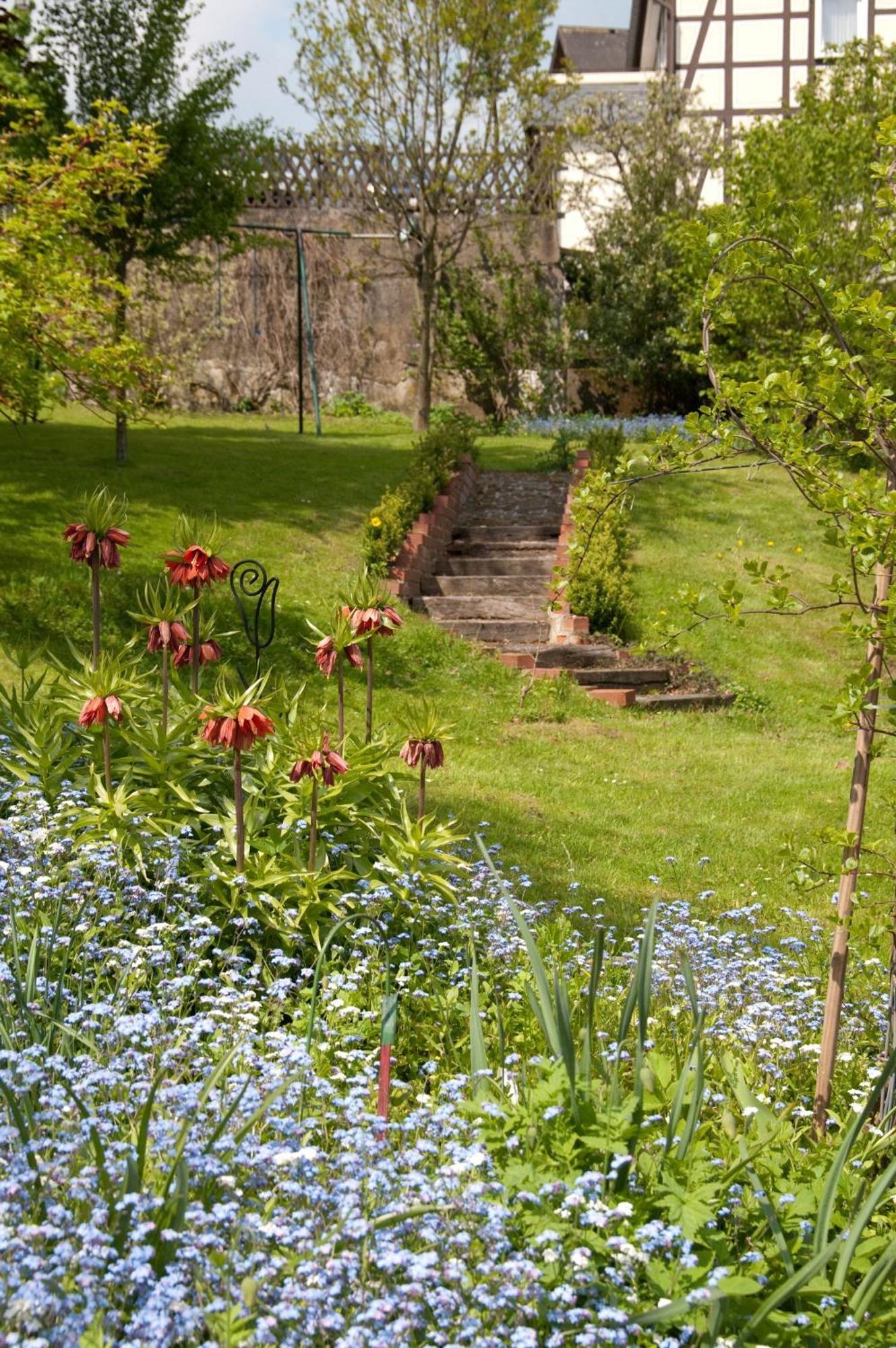 Ferienwohnungen Lindenhof Willingen  Esterno foto