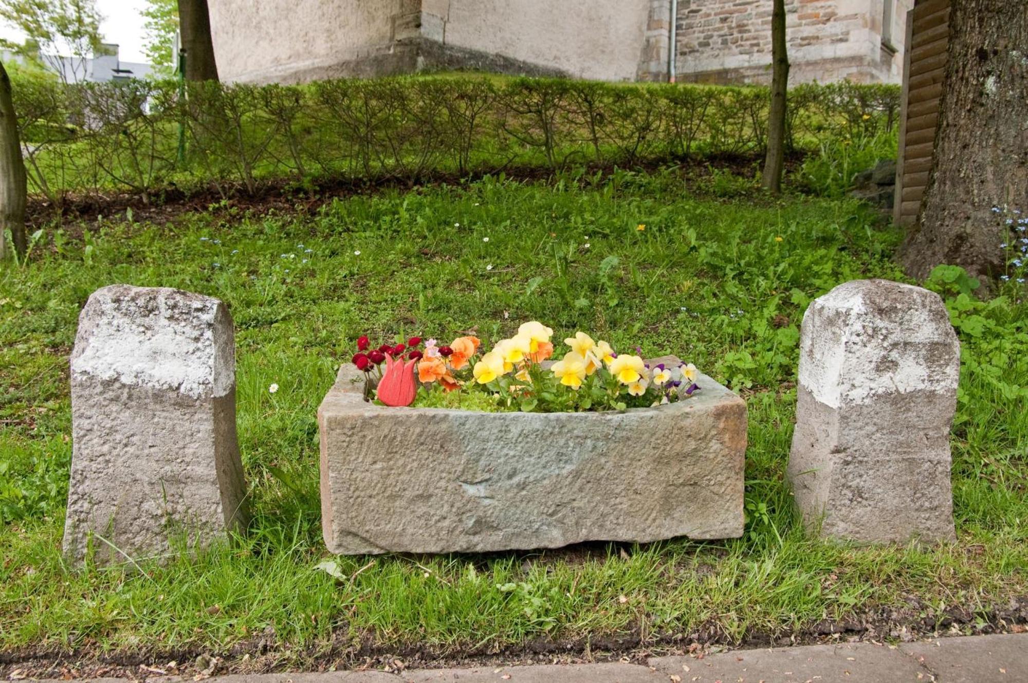 Ferienwohnungen Lindenhof Willingen  Esterno foto